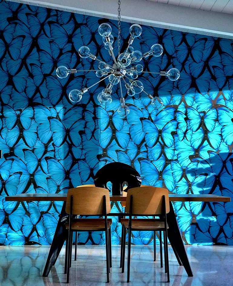 https://d4qwptktddc5f.cloudfront.net/astek-wall-covering-blue-butterfly-fliepaper-palm-springs-don-flood.jpg